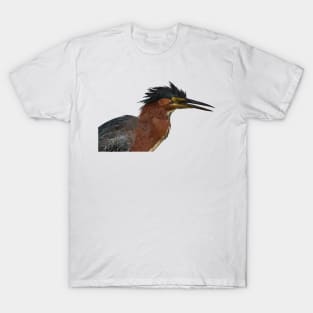 Green Heron T-Shirt